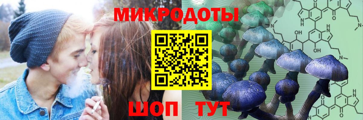 Псилоцибиновые грибы Cubensis Снежинск